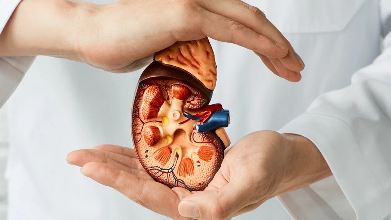 ABO Compatible Transplant in Ahmedabad ABO Compatible Transplant in Ahmedabad