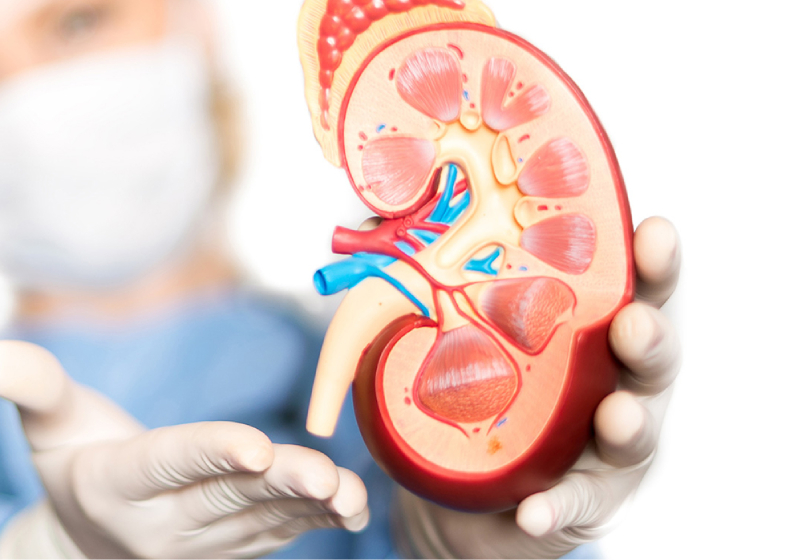 ABO Incompatible Surgeon in Ahmedabad ABO Incompatible Surgeon in Ahmedabad